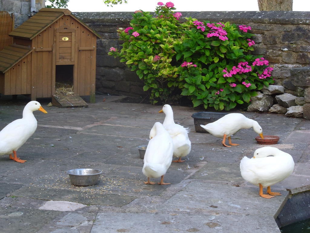 קרנפורת' Tithe Barn Bed And Breakfast מראה חיצוני תמונה